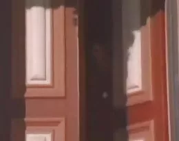 Amerikansk klassiska hanrej
