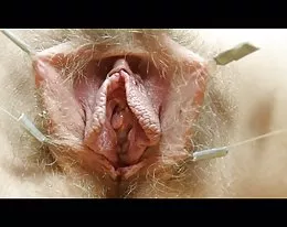 Kitty sång