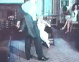 Cicciolina - ilona staller italienska klassiker